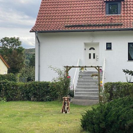 Ferienhaus Am Muehlgraben Thale Bagian luar foto