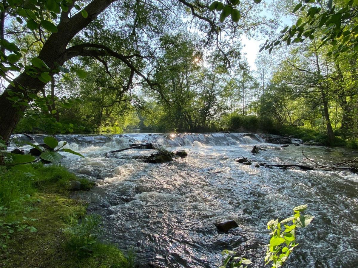 Ferienhaus Am Muehlgraben Thale Bagian luar foto