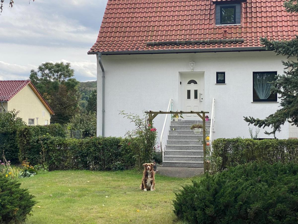 Ferienhaus Am Muehlgraben Thale Bagian luar foto