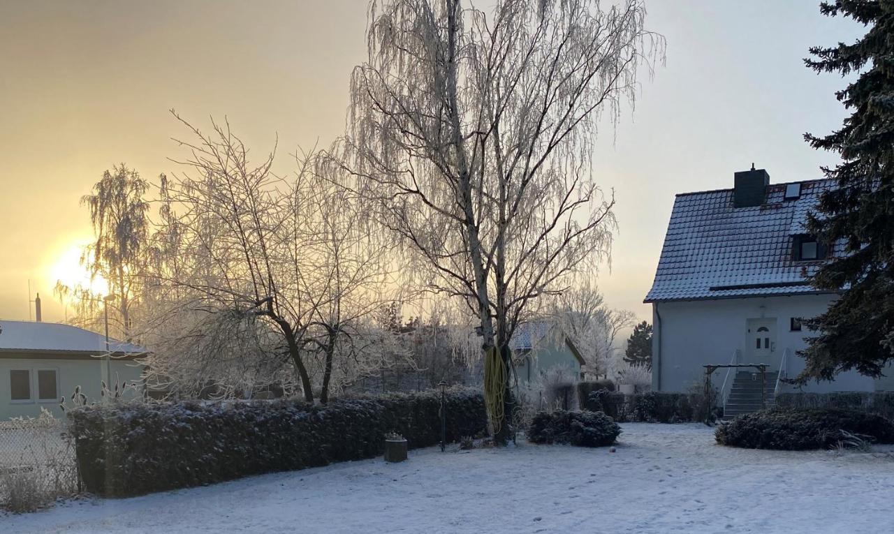 Ferienhaus Am Muehlgraben Thale Bagian luar foto