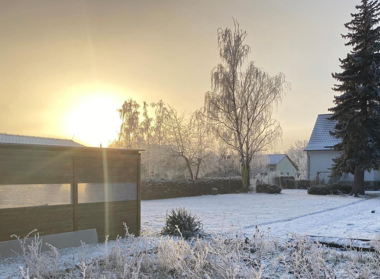 Ferienhaus Am Muehlgraben Thale Bagian luar foto