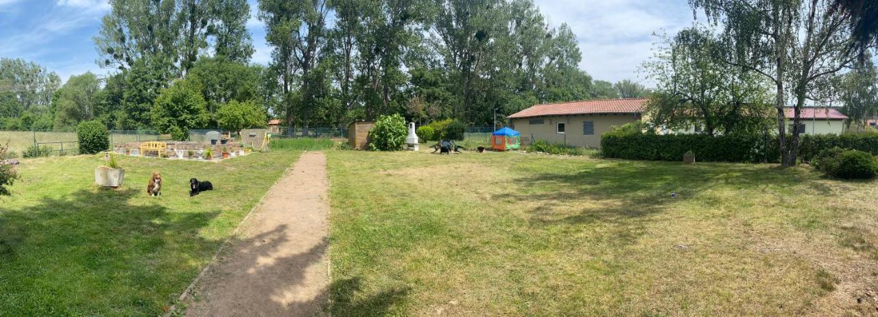 Ferienhaus Am Muehlgraben Thale Bagian luar foto
