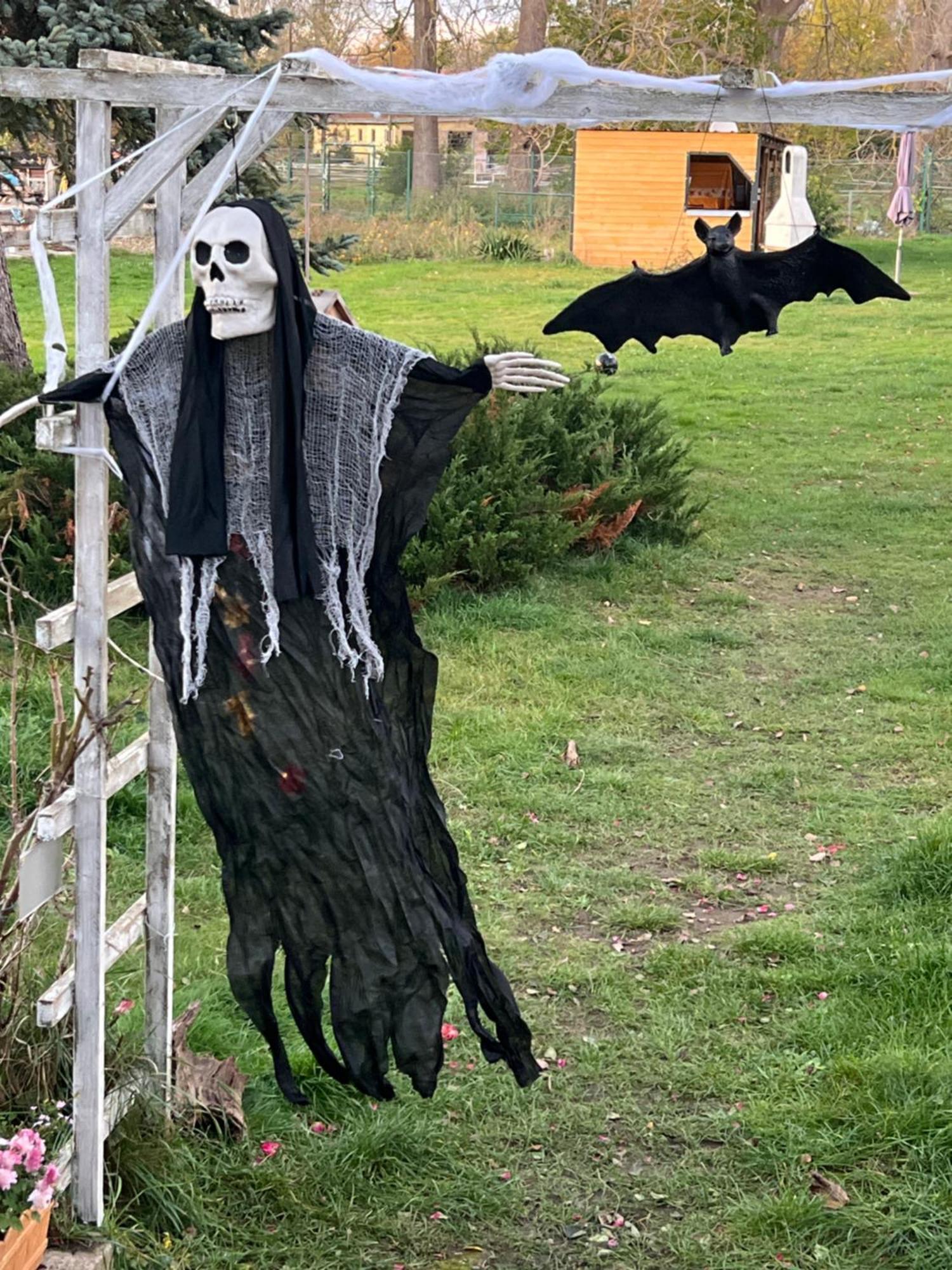 Ferienhaus Am Muehlgraben Thale Bagian luar foto