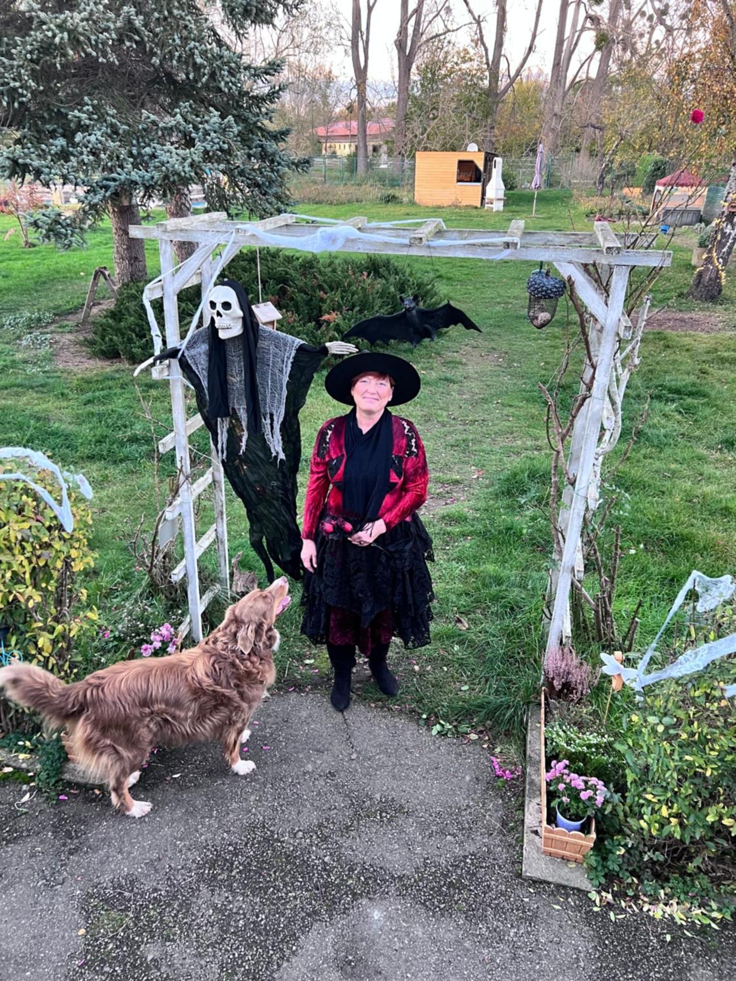 Ferienhaus Am Muehlgraben Thale Bagian luar foto